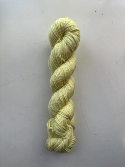 Variegated Dark Lemon Worsted