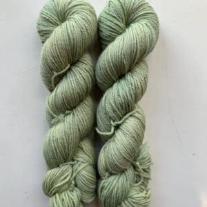 Light Cactus Worsted