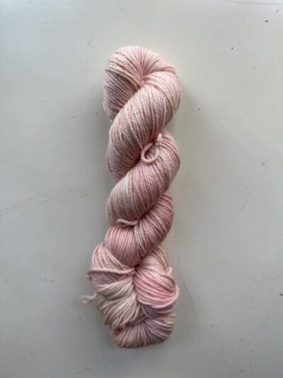 Variegated Magnolia Worsted