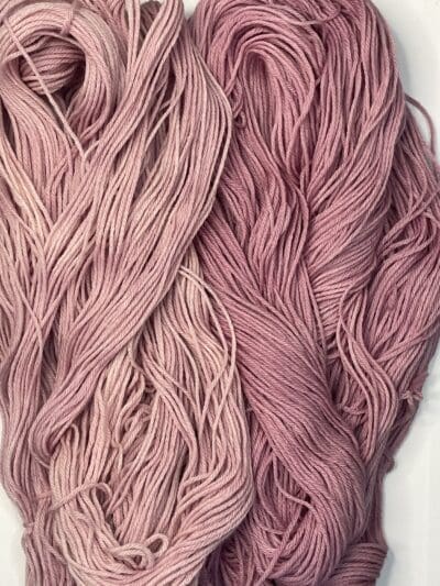 Variegated Hibiscus DK - Image 5