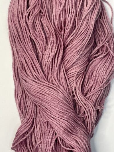 Variegated Hibiscus DK - Image 2