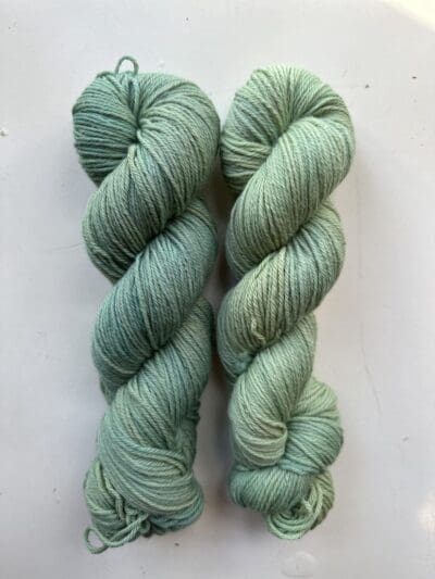 Variegated Cactus DK 100% Merino