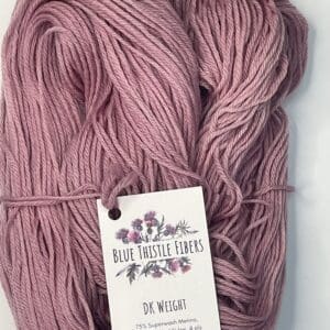 Variegated Hibiscus DK