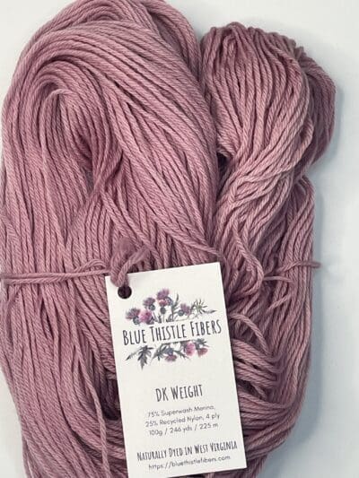 Variegated Hibiscus DK