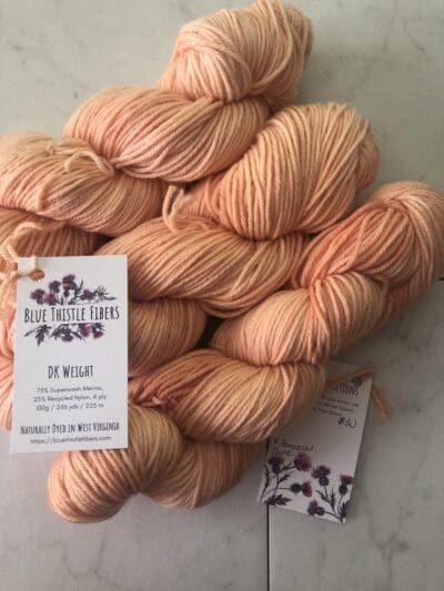 Variegated Pumpkin Spice DK Naturally Dyed Yarn by Blue Thistle Fibers