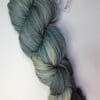 Variegated Blueberry DK 100% Merino