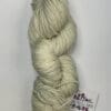 Variegated Light Moss Worsted