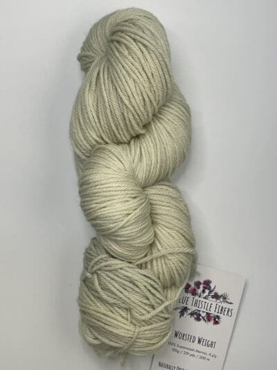Variegated Light Moss Worsted