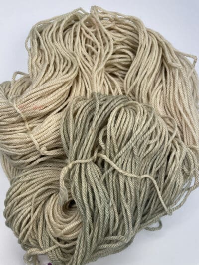 Variegated Moss/Rose Worsted - Image 2