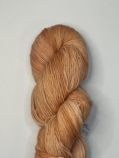 Variegated Light Pumpkin Spice Fingering