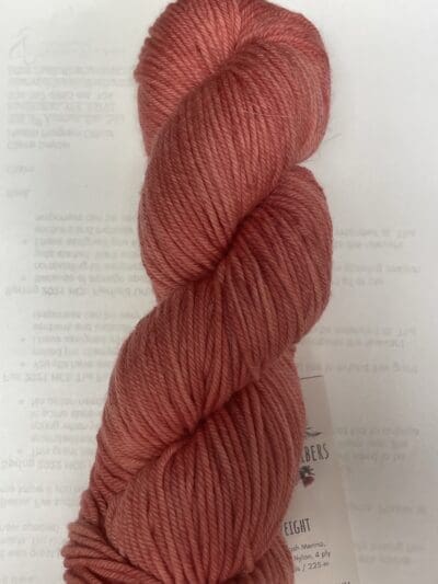 Variegated Pink Hibiscus DK