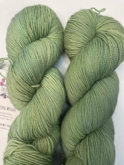 Variegated Dark Cactus Fingering