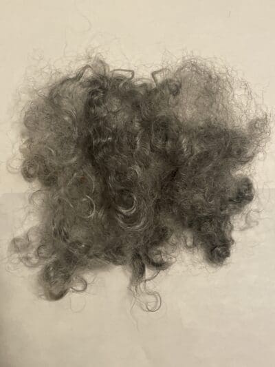 Gray Kid Mohair Raw Locks - Image 3
