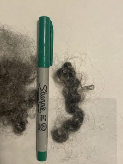 Gray Kid Mohair Raw Locks - Image 2