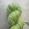 Variegated Grass Worsted
