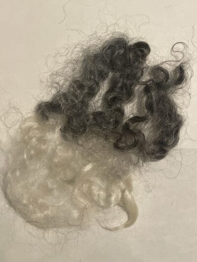 Gray Kid Mohair Raw Locks