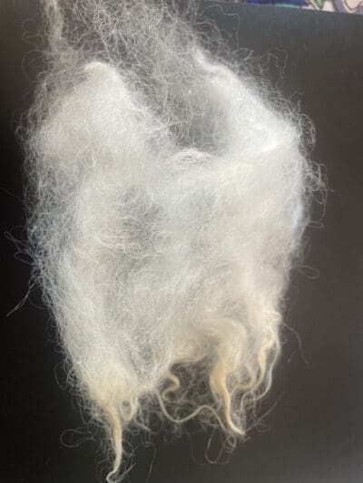 Cream Shetland Raw Locks (25 g) - Image 2