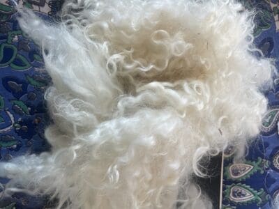 Cream Shetland Raw Locks (25 g) - Image 3