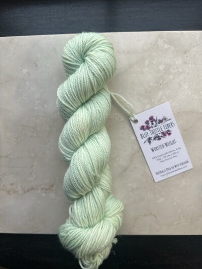 Variegated Mint Worsted - Image 2