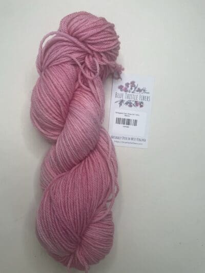 Variegated Dark Rose DK 100% Merino - Image 2