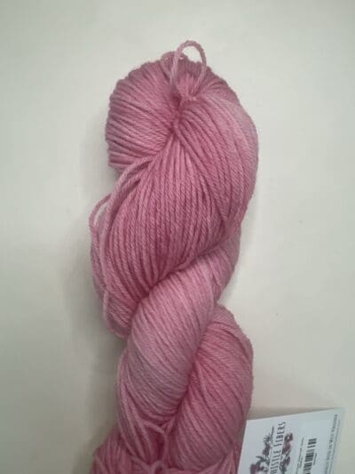 Variegated Dark Rose DK 100% Merino - Image 3