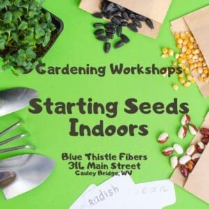 Starting Seeds Indoors